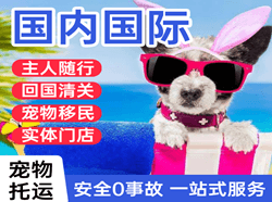 青山空运公司国际宠物托运 【国